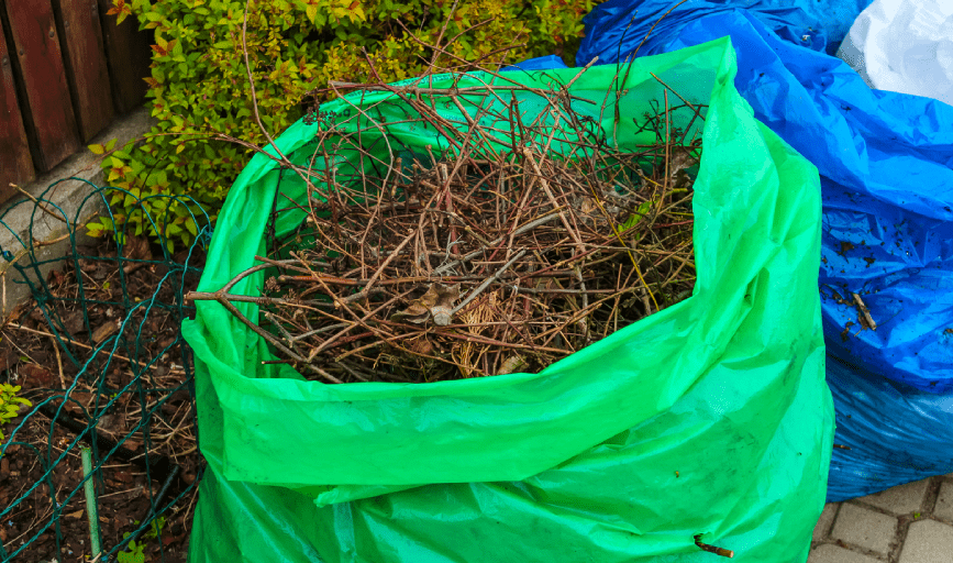 Yard Cleanup